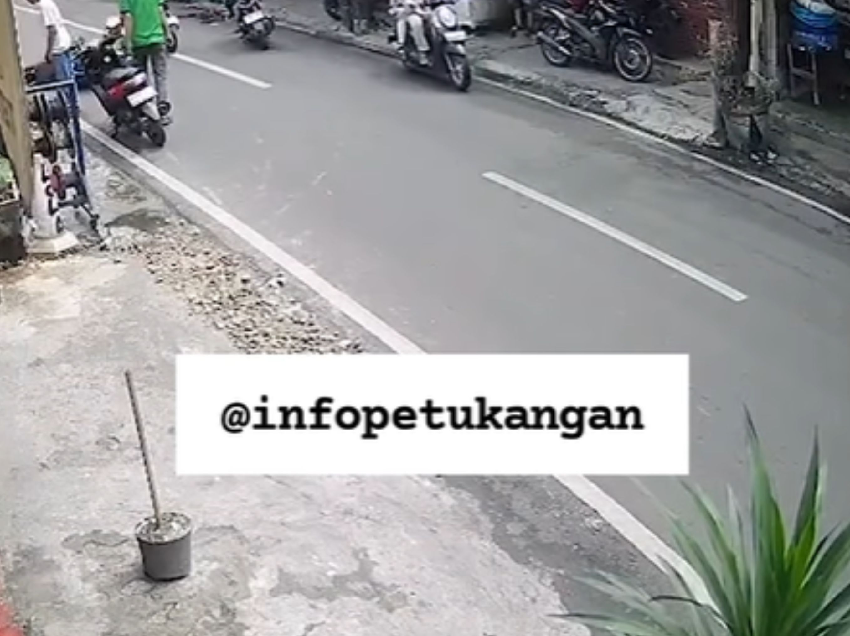 pejalan kaki wanita dtabrak ojol <b>(jktinfo24jam)</b>