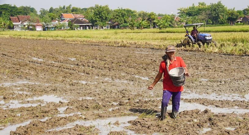 Kementerian Pertanian (Kementan) terus berkomitmen memperbaiki tata kelola penyaluran pupuk bersubsidi.