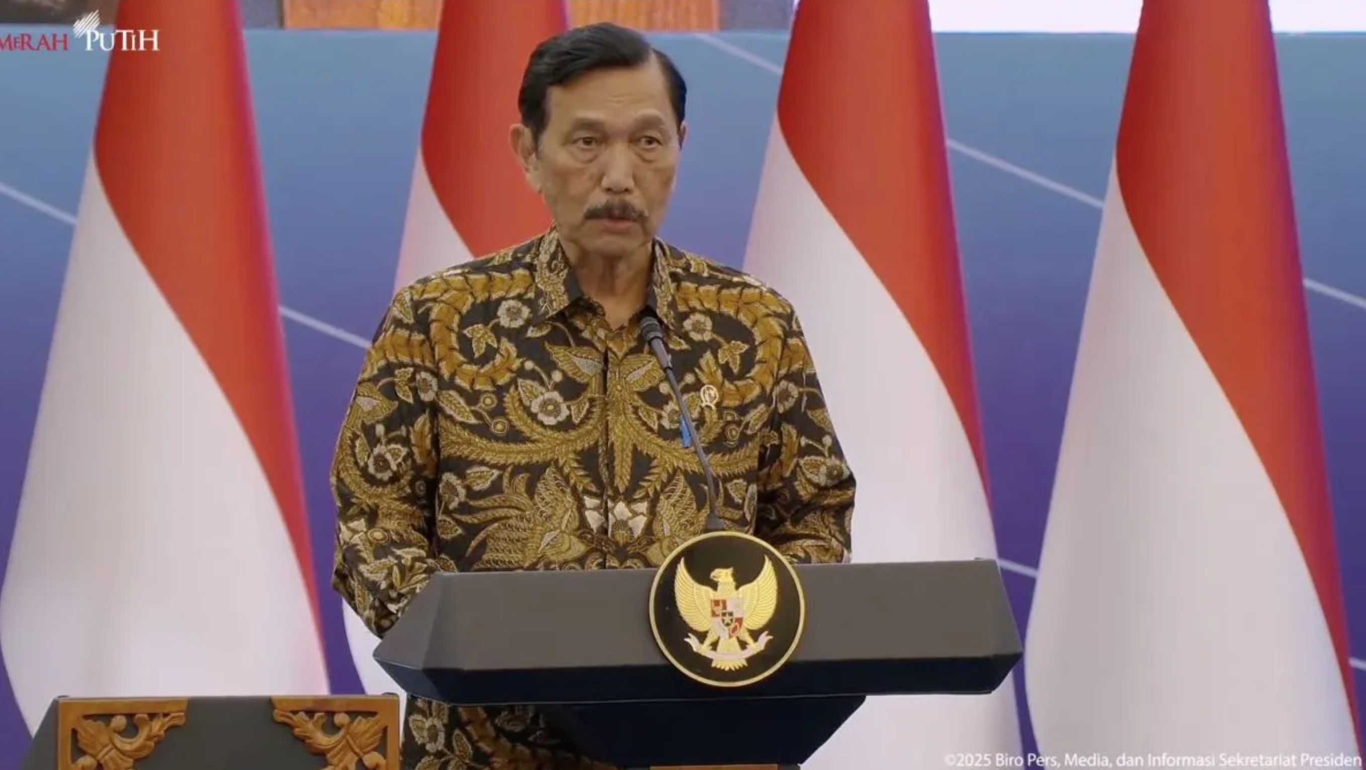 Ketua DEN Luhut Binsar <b>(Antara)</b>
