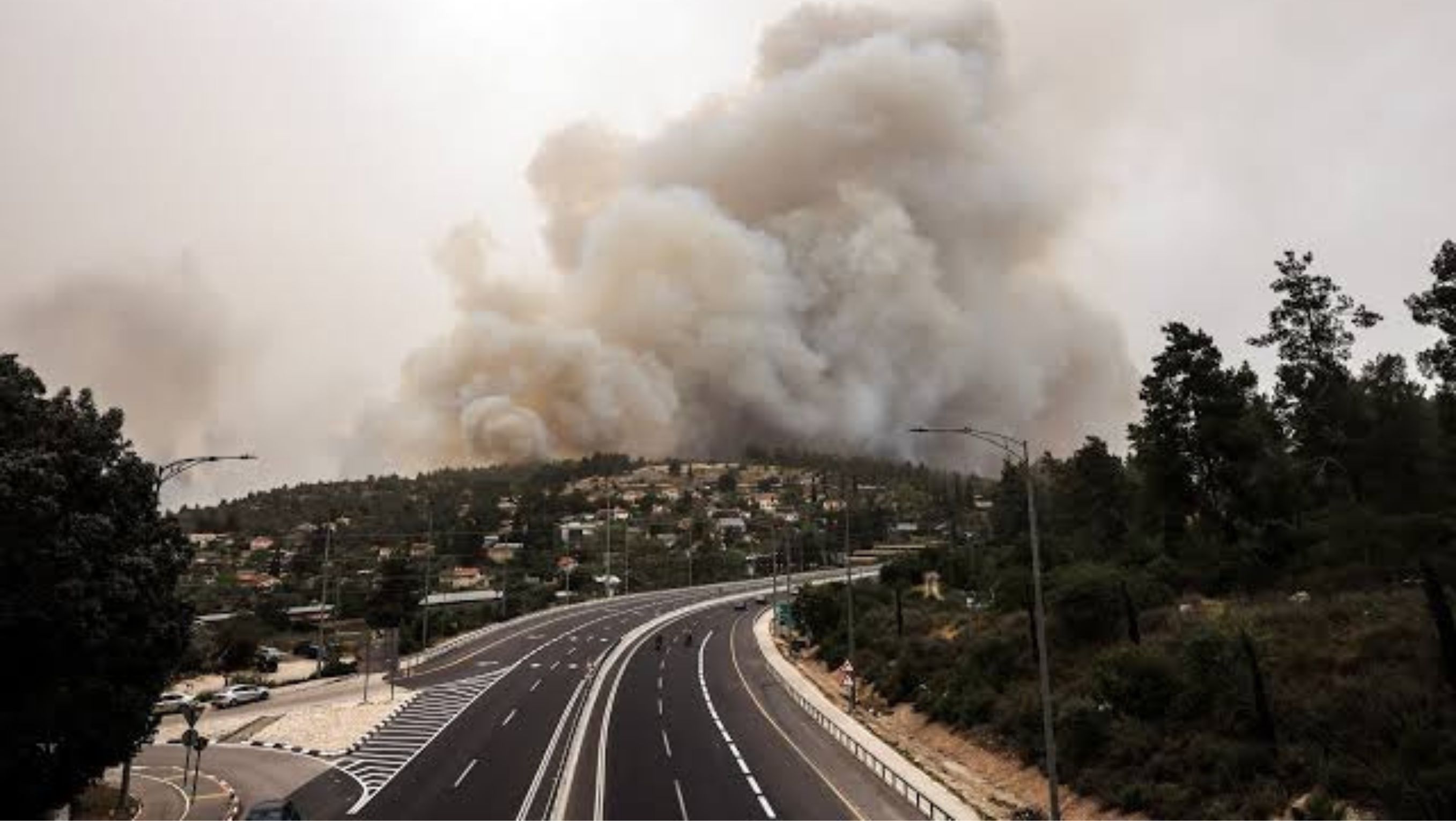 Kebakaran Israel <b>(Al Jazeera)</b>