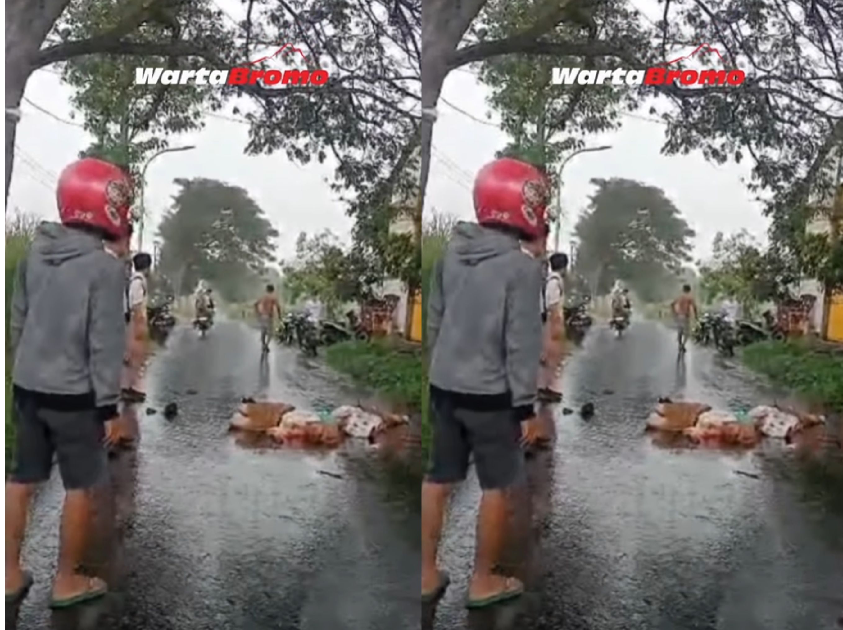 dua siswi smp alami kecelakaan <b>(INSTAGRAM WARTA BROMO)</b>