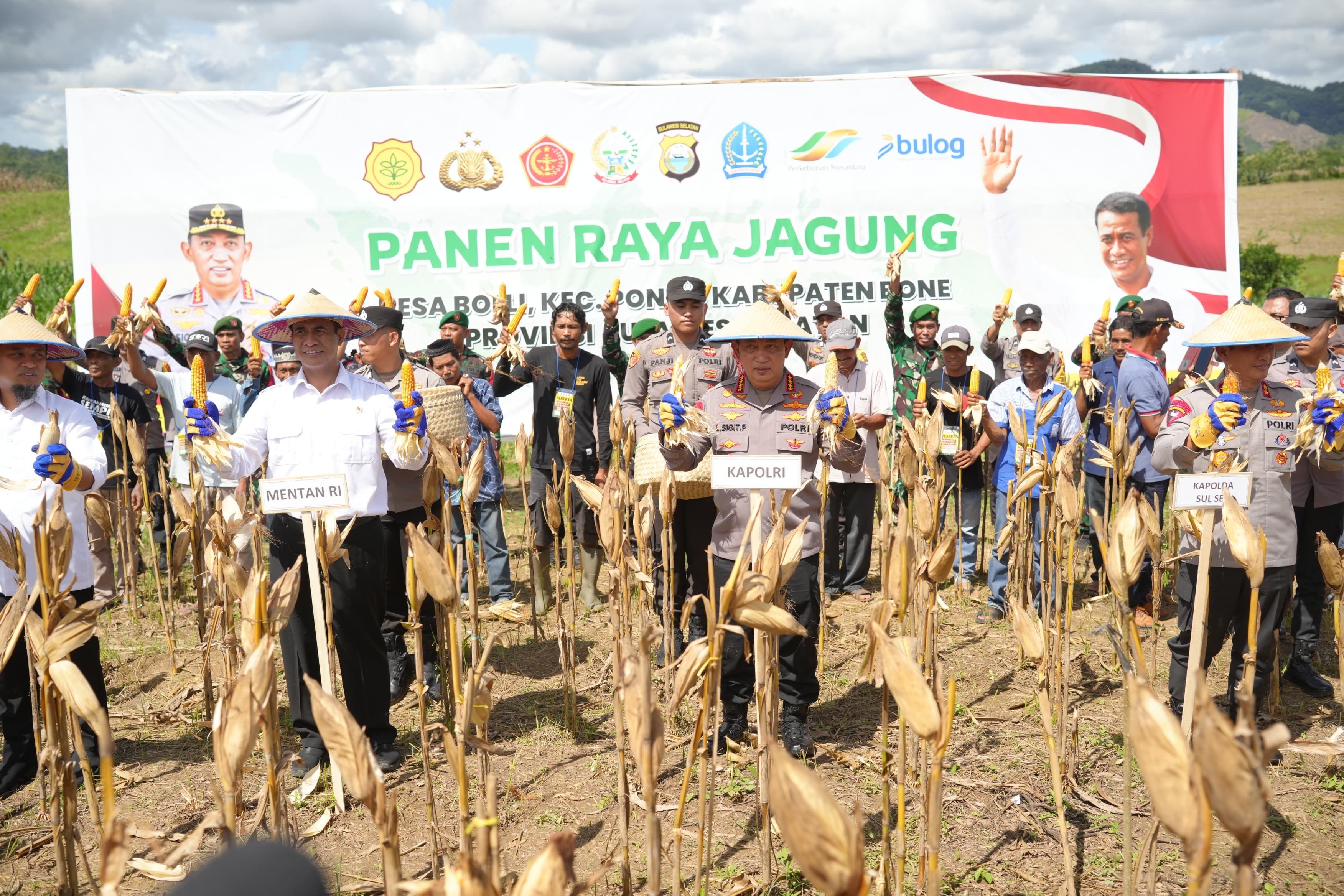 Kapolri Jenderal Listyo Sigit Prabowo dan Mentan Amran Sulaiman melaksanakan panen raya jagung di Desa Bolli, Bone, Sulawesi Selatan (Sulse), Jumat (16/5/2025). Kegiatan ini juga dihadiri oleh kelompok tani, Forkopimda dan seluruh stakeholder terkait <b>(ISTIMEWA)</b>