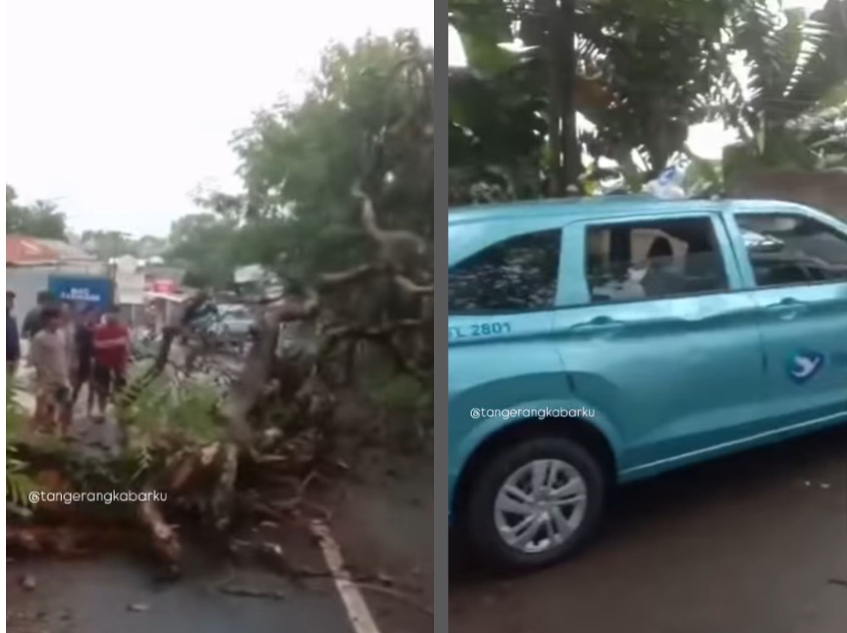 Taksi ringsek tertimpa pohon tumbang <b>(INSTAGRAM TANGERANG KABARKU)</b>