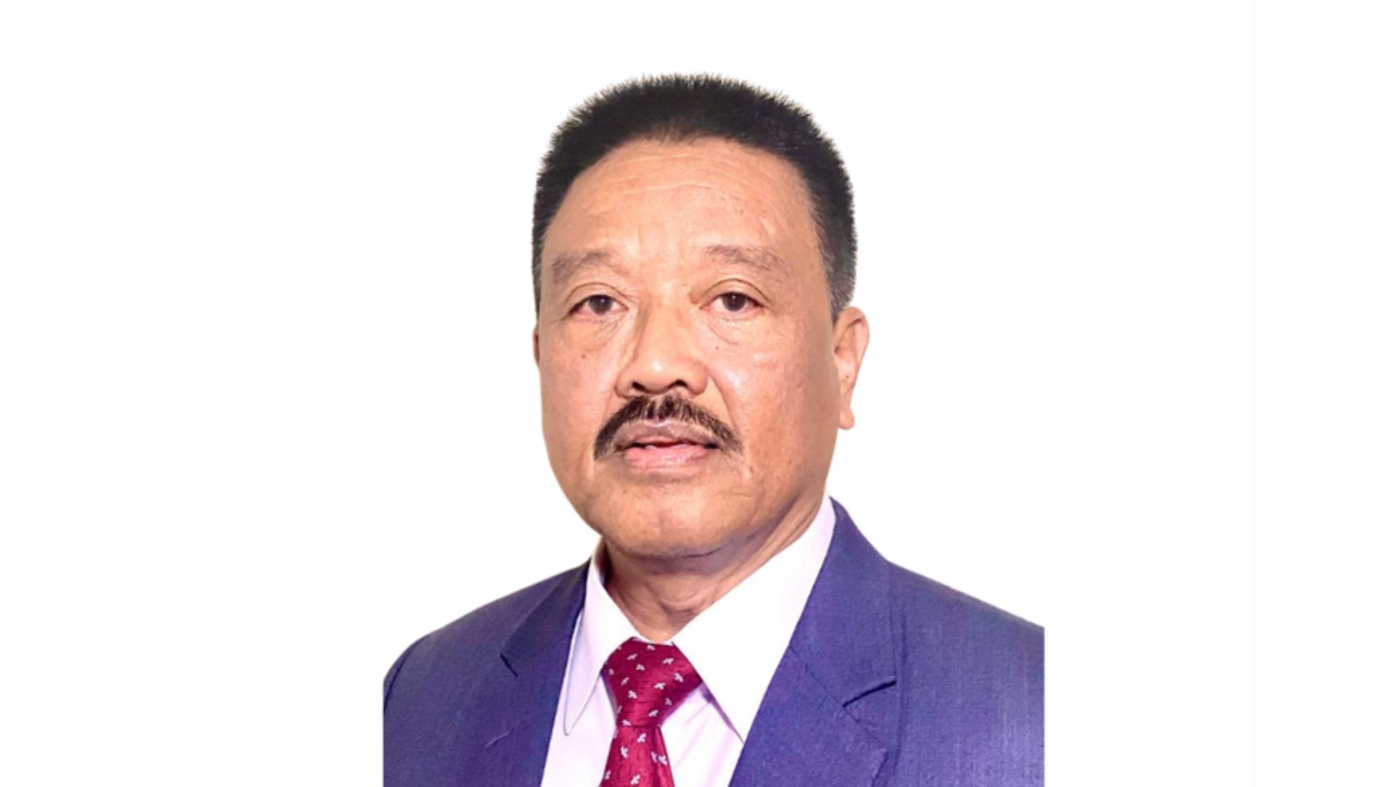 Dewan Komisaris Saptono Adji <b>(Gag Nikel)</b>