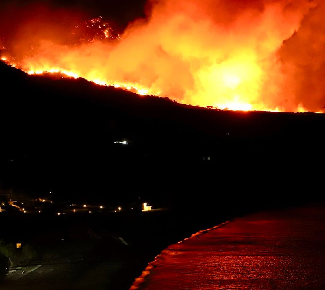 Kebakaran Hutan di Yunani <b>(BBC)</b>