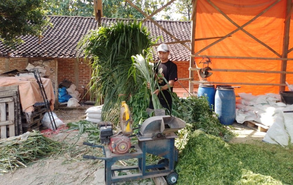 Tommy Wavolta bercita-cita memiliki pabrik pakan ternak dengan brand sendiri agar bisa menjangkau pasar lebih luas. (Foto: Istimewa)