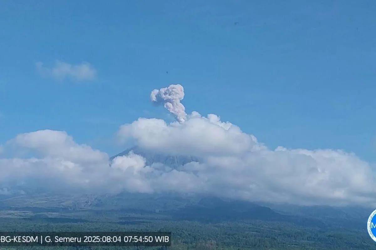 Gunung Semeru erupsi dengan tinggi letusan 800 meter di atas puncak pada Senin (4/8/2025) pagi. ANTARA/HO-PVMBG <b>(Antara)</b>
