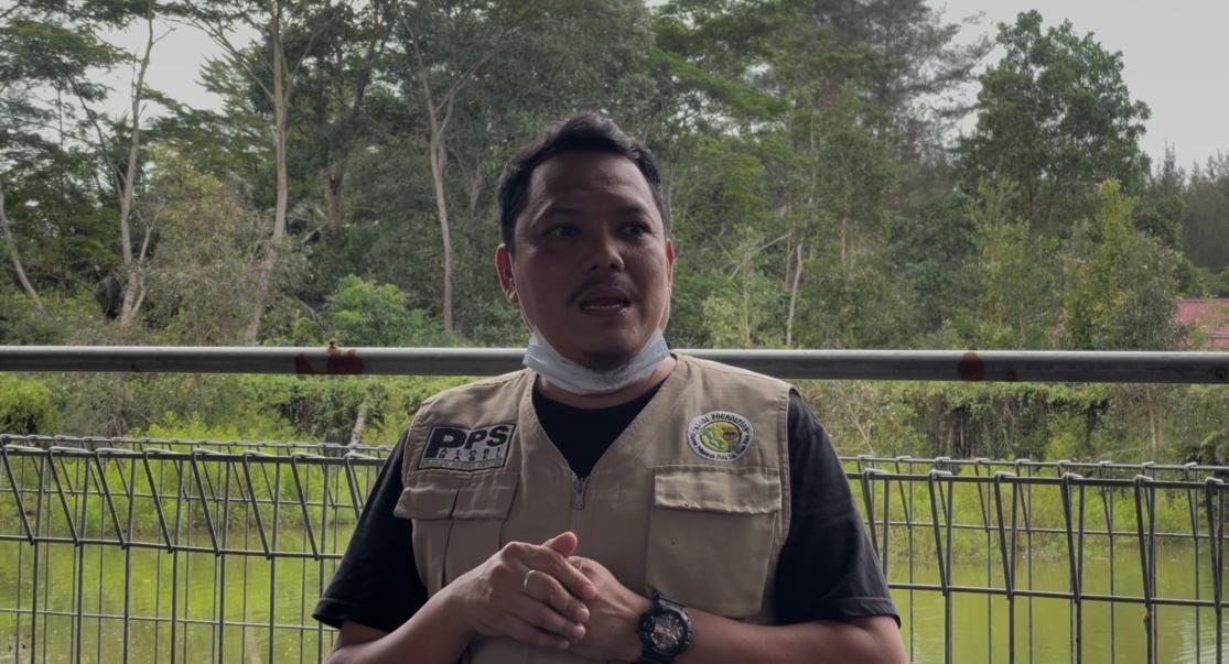 Endi Yusuf, manager Pusat Penangkaran Satwa (PPS) Alobi <b>(Ntvnews.id-Muslimin Trisyuliono )</b>