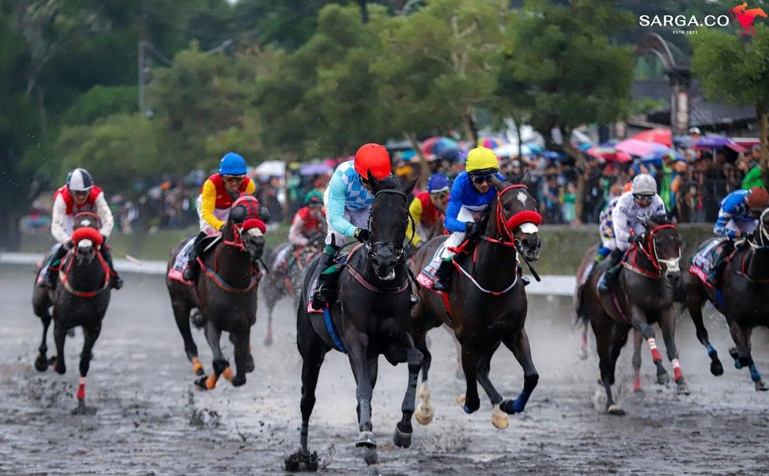 Indonesia's Horse Racing (IHR)-Merdeka Cup 2025 merupakan kejuaraan ke-6 yang digelar oleh SARGA.CO. (Foto: Istimewa)