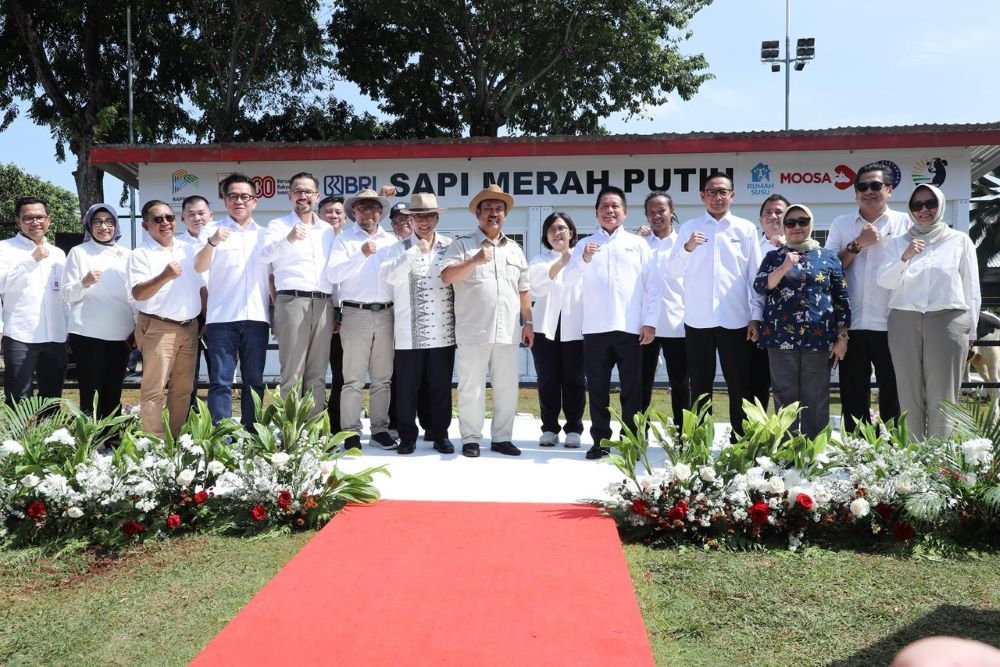 BRI mendukung program Sapi Merah Putih/Foto: Istimewa