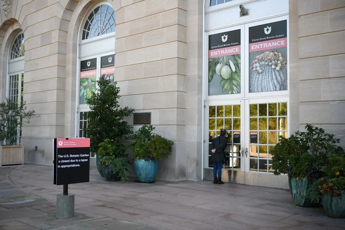 Foto yang diabadikan pada 5 Oktober 2025 di Washington DC, Amerika Serikat, ini menunjukkan seorang perempuan sedang melongok ke arah dalam dari jendela Kebun Raya Amerika Serikat (United States Botanic Garden), sementara pengumuman bahwa fasilitas tersebut tutup terlihat di depan pintu masuk. (Xinhua/Li Rui) <b>(Antara )</b>