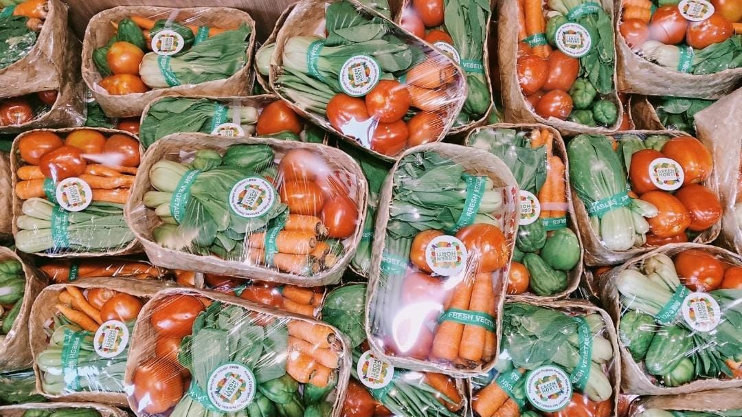 Ilustrasi Pangan Lokal, <b>(Dompet Dhuafa)</b>