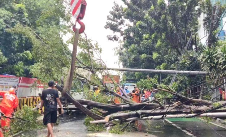 Petugas gabungan mengevakuasi pohon besar dan tiang lampu penerangan jalan umum (PJU) yang tumbang dan menimpa empat unit mobil di Jalan DI Panjaitan, Jatinegara, Jakarta Timur (Jaktim), Kamis, 20 November 2025. ANTARA/Siti Nurhaliza <b>(Antara)</b>