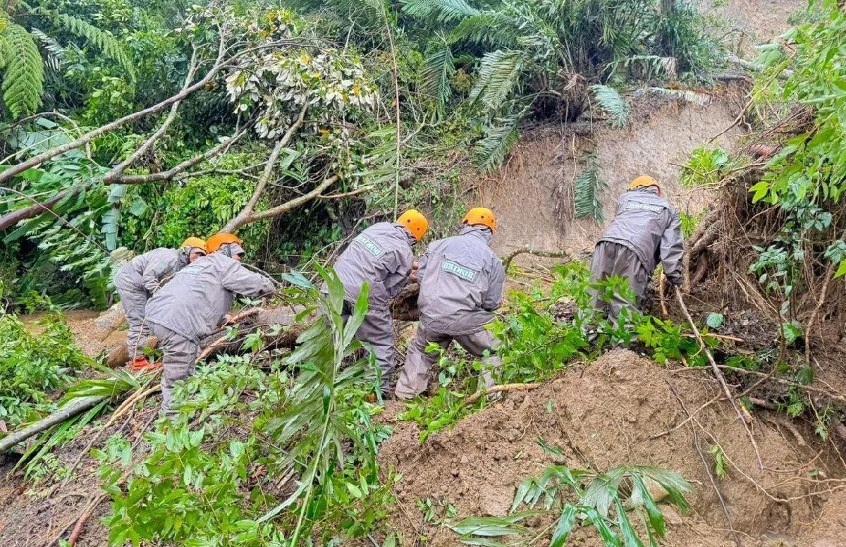 Personel Batalyon C Tapanuli Selatan Brimob Polda Sumatera Utara membantu membuka akses jalan penghubung Kota Padangasidimpuan ke Kota Sibolga, Sumut, Selasa, 25 November 2025. ANTARA/HO-Humas Satuan brimob Polda Sumatera Utara. <b>(Antara)</b>