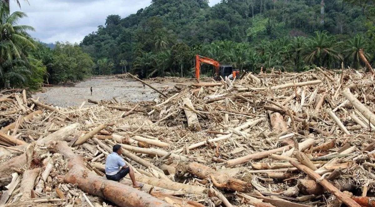 Warga mengamati sampah kayu gelondongan pascabanjir bandang di Desa Aek Garoga, Kecamatan Batang Toru, Kabupaten Tapanuli Selatan, Sumatera Utara, Sabtu, 29 November 2025. ANTARA FOTO/Yudi Manar/agr/am. <b>(Antara)</b>