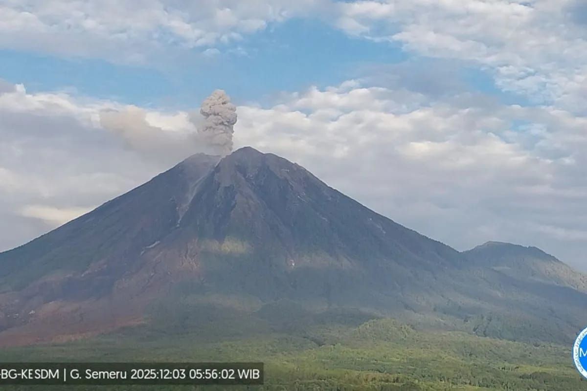 Gunung Semeru erupsi dengan tinggi letusan mencapai 1.100 meter di atas puncak pada Rabu 3 Desember 2025 pagi. ANTARA/HO-PVMBG <b>(Antara)</b>