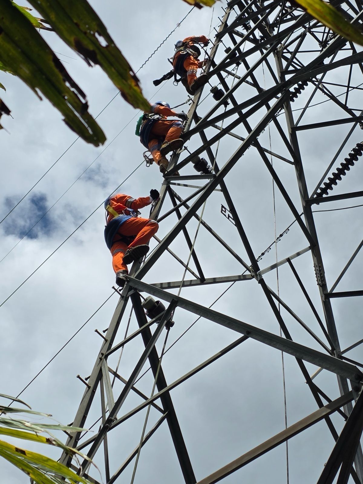 PLN Perluas Jangkauan Listrik untuk Warga Sibolga <b>(Istimewa)</b>