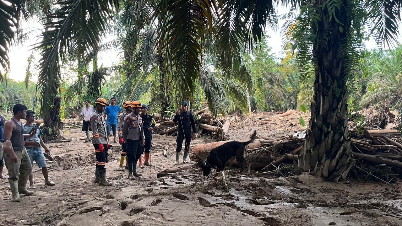 Tim K9 Ditpolsatwa Baharkam Polri Bantu Pencarian Korban Bencana di Bantaran Sungai Huta Raja 
