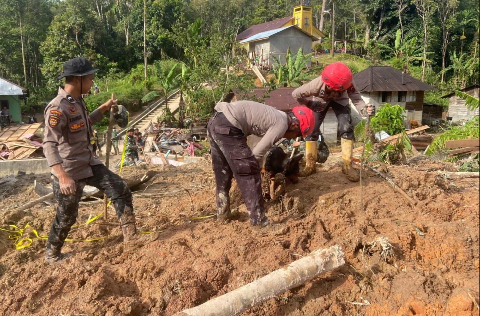 Anjing pelacak Polri digunakan untuk mencari korban longsor di Sumatra. 