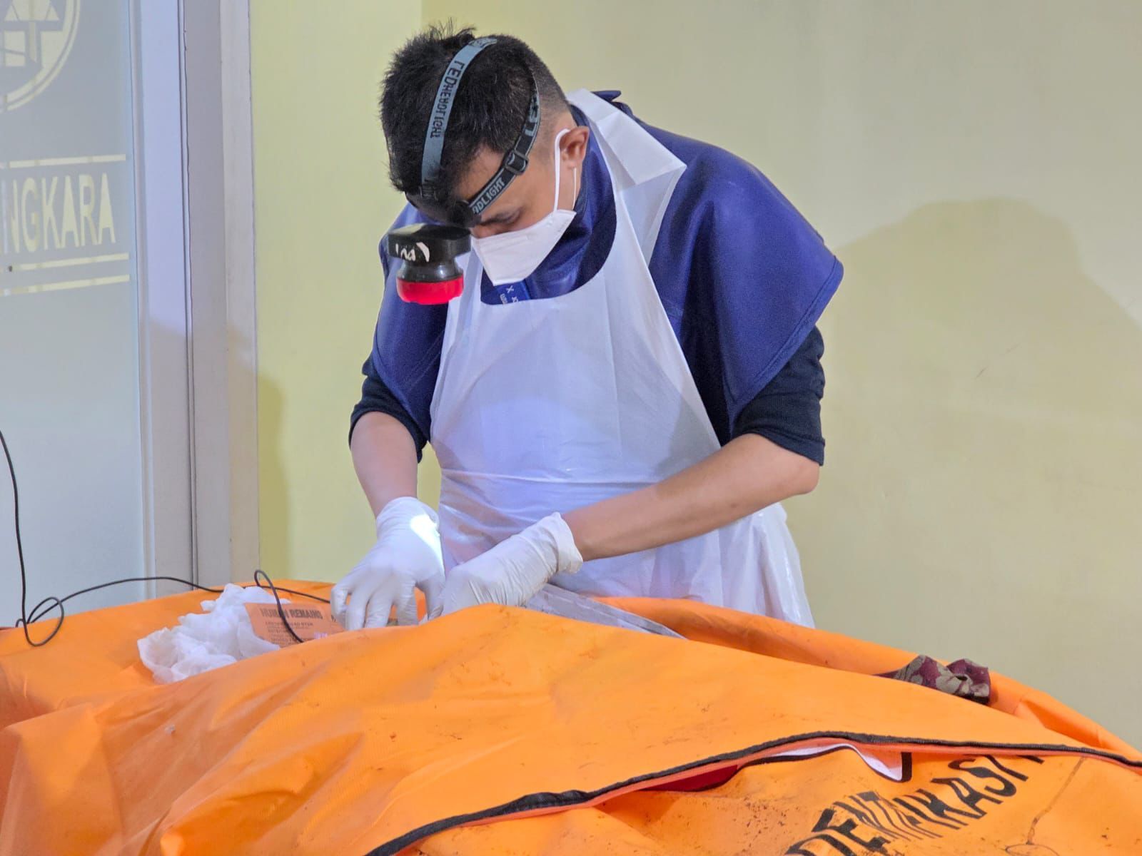 Berdasarkan data Tim DVI, dari 174 korban yang sudah teridentifikasi, 86 berjenis kelamin laki-laki dan 87 perempuan. Adapun korban yang belum teridentifikasi terdiri dari 14 laki-laki, 8 perempuan, serta beberapa potongan tubuh yang masih diteliti lebih lanjut, yaitu potongan paha, tungkai bawah, dan kaki kanan. <b>(DIV)</b>