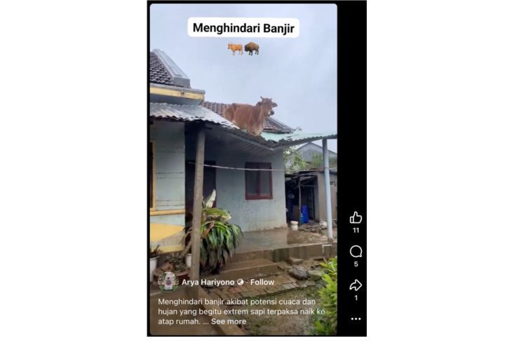 Unggahan video yang menampilkan sapi diatas rumah akibat banjir. Faktanya, video tersebut merupakan hasil AI. (Facebook) <b>(Antara)</b>