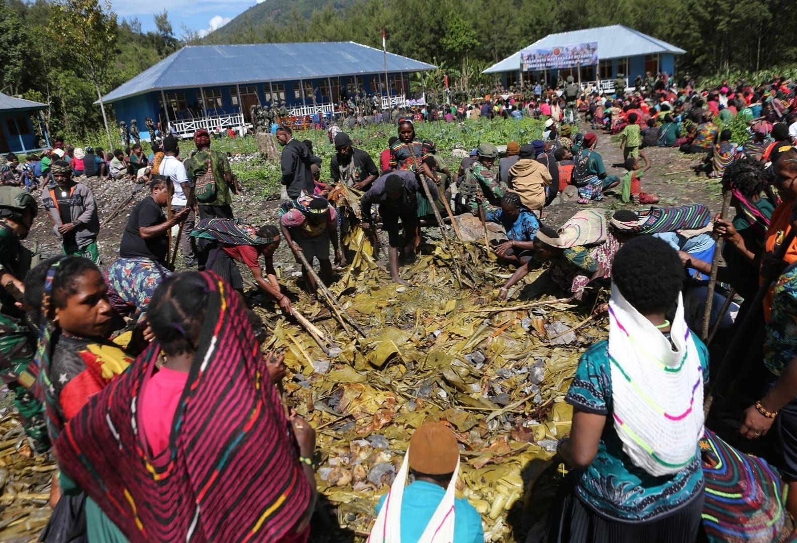 Pelaksanaan upacara bakar batu. 