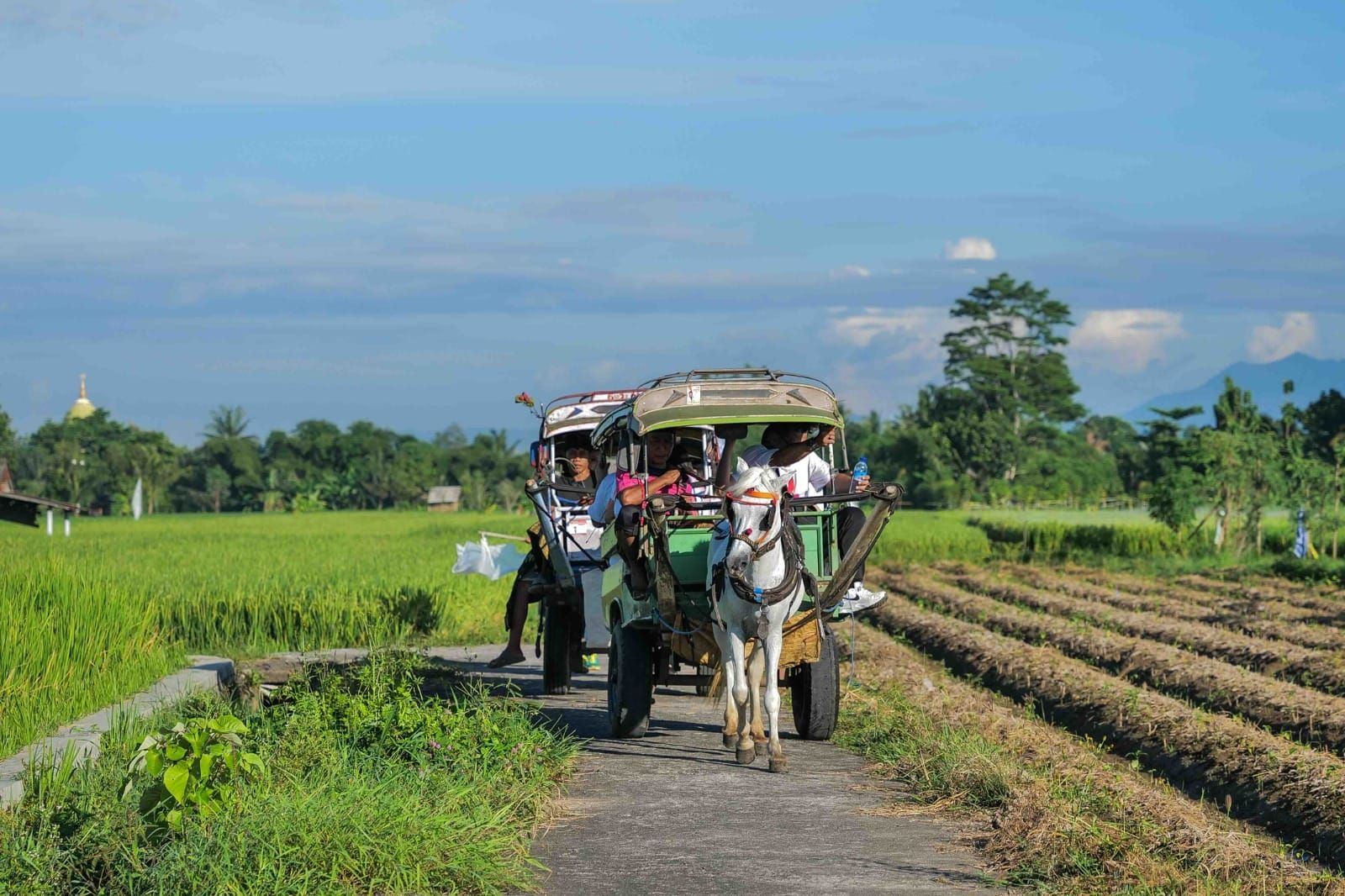 Mengelilingi hamparan sawah di Desa Wisata Hijau Bilebante, Lombok  <b>(BCA)</b>
