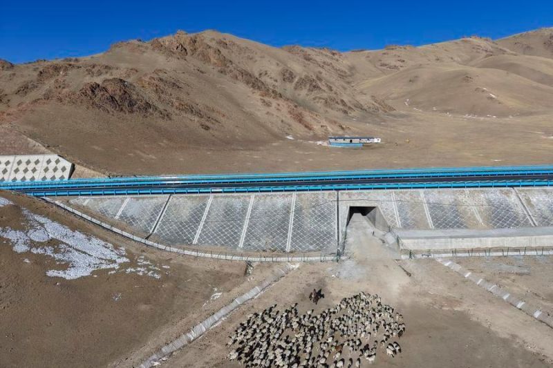 Foto dari udara yang diabadikan dengan drone pada 23 Desember 2025 ini menunjukkan seorang penggembala sedang menggiring domba di sisi Jalan Tol Urumqi-Yuli di wilayah Hejing, Daerah Otonom Uighur Xinjiang, China barat laut. ANTARA/Xinhua/Hu Huhu. <b>(Antara)</b>