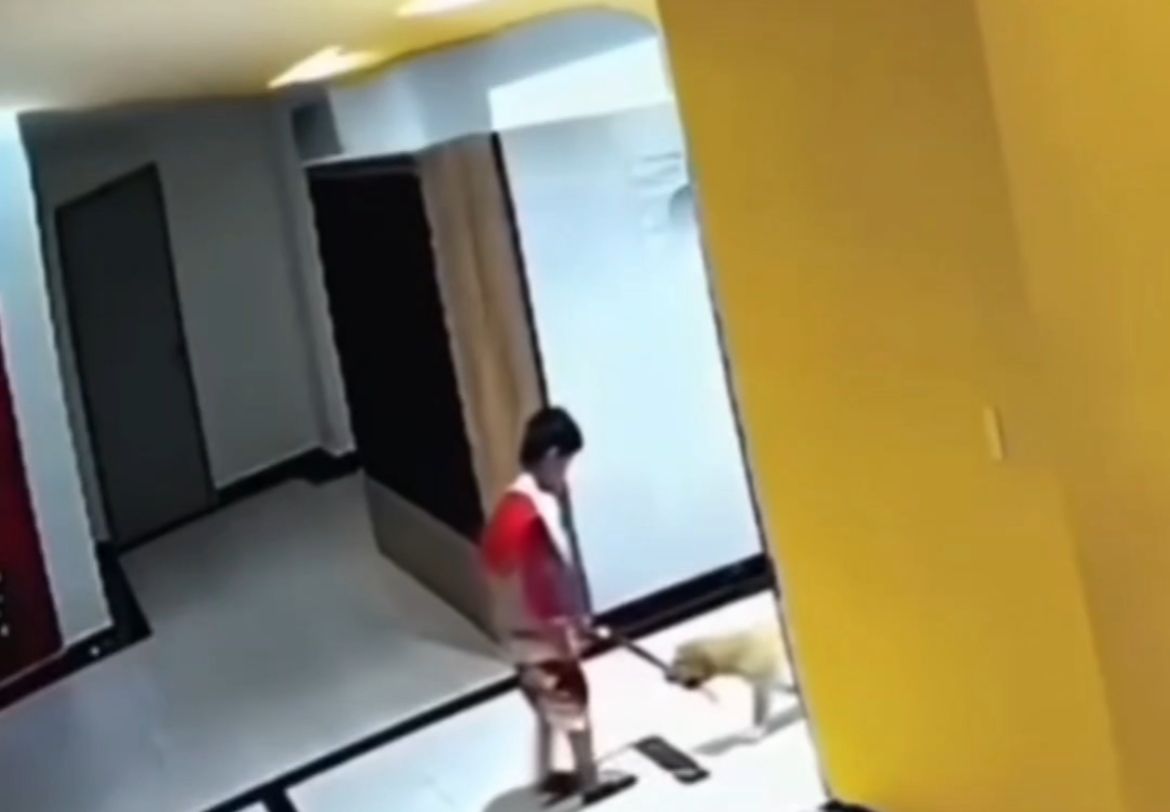 Soeang Anak dikejar Anjing Peliharaan <b>(Tangkapan Layar)</b>