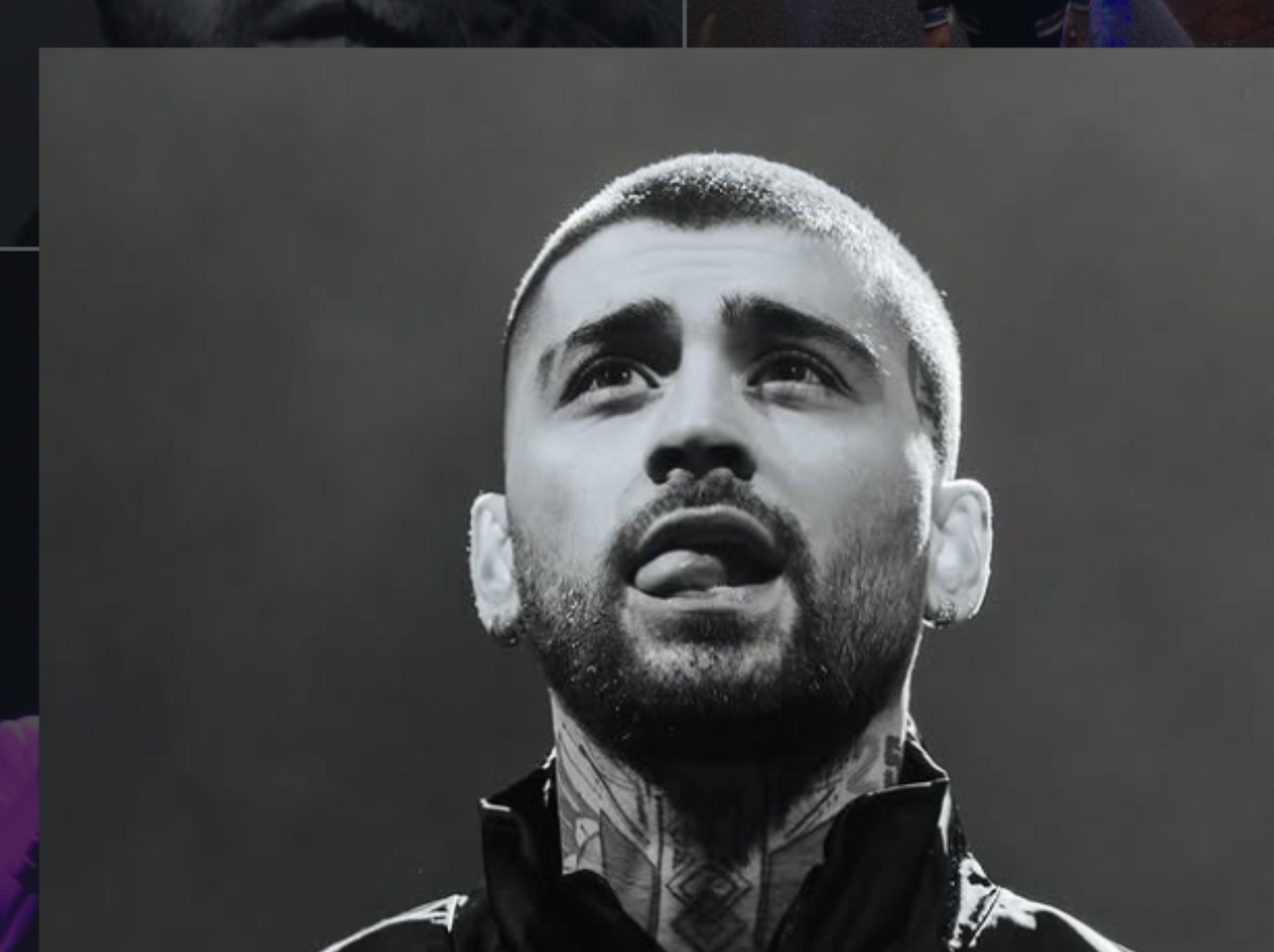 Zayn Malik <b>(IG ZAYN MALIK)</b>