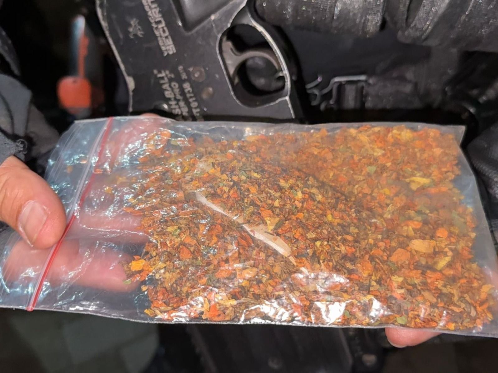 Barang bukti ganja yang diamankan petugas. 