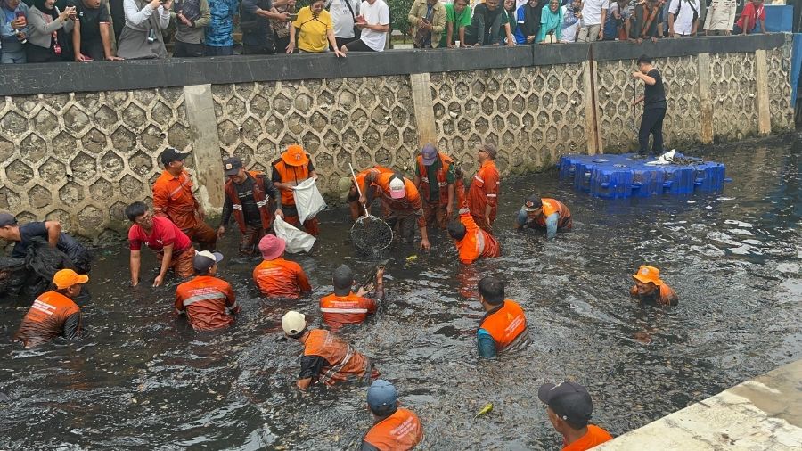 Penangkapan ikan sapu-sapu <b>(Ntvnews.id/Adiansyah)</b>