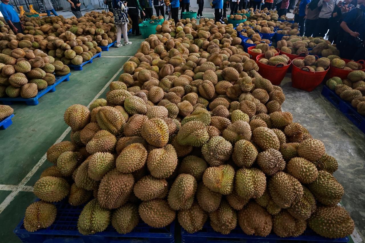 durian