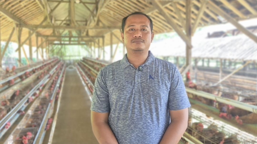 Program Makan Bergizi Gratis (MBG) sukses membantu peternak ayam di Sukoharjo menyerap seluruh hasil produksinya melalui pasokan ke berbagai Satuan Pelayanan Pemenuhan Gizi (SPPG), sekaligus memastikan ketersediaan protein berkualitas bagi anak-anak Indonesia. <b>(Bakom)</b>