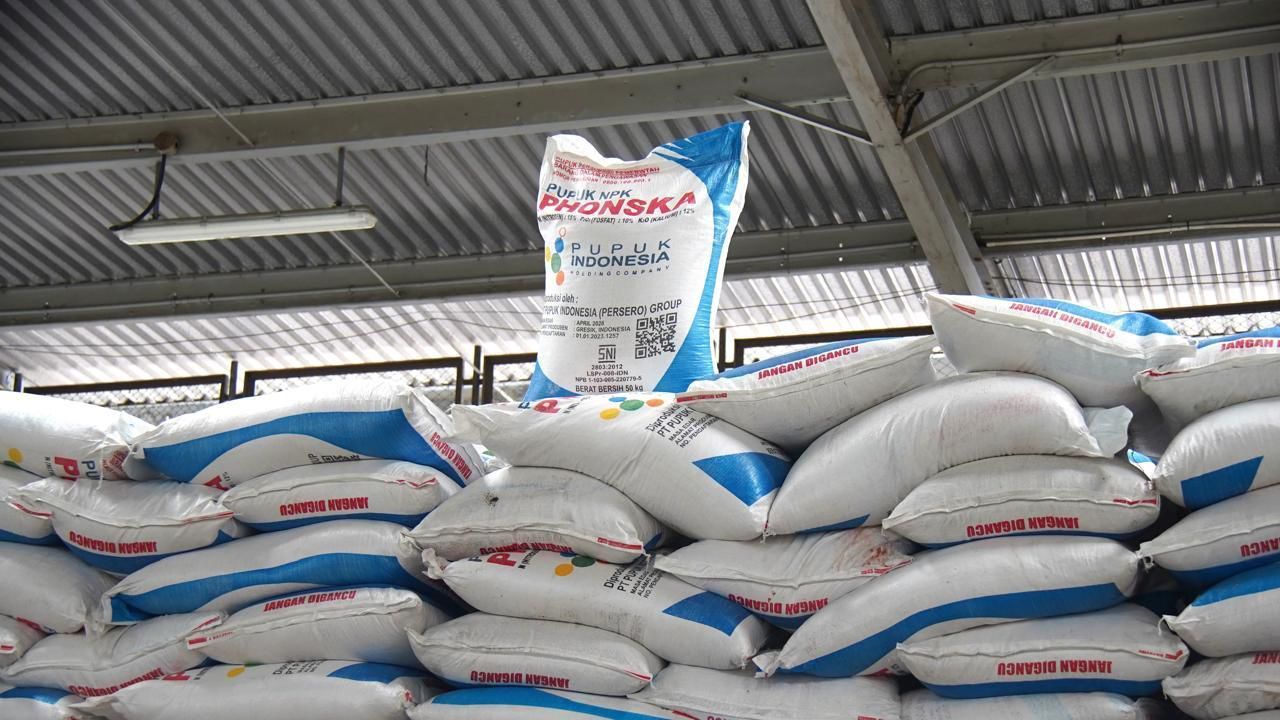 Presiden Prabowo Subianto mengambil langkah berani dengan memangkas harga pupuk bersubsidi sebesar 20% guna melindungi petani dari lonjakan harga urea global yang naik hingga 40% akibat konflik di Selat Hormuz dan penghentian ekspor dari China per Me <b>(Bakom)</b>