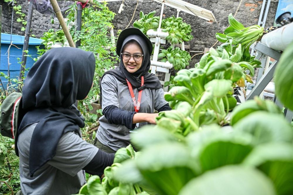 Para peserta program Greenbus Pertamina 2026 Season 2 sedang melakukan aktivitas menggambar, memetik sayuran, dan mengolah minuma hasil kebun di Kampung Hijau Cemara, Jakarta, Kamis, (2/7/2026).