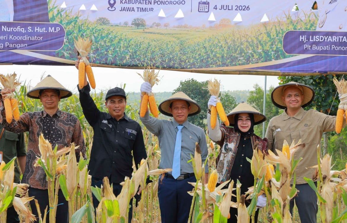 Bayer dan Kemenko Pangan Panen Raya Jagung di Ponorogo, Dorong Produktivitas untuk Percepat Swasembada <b>(Istimewa)</b>