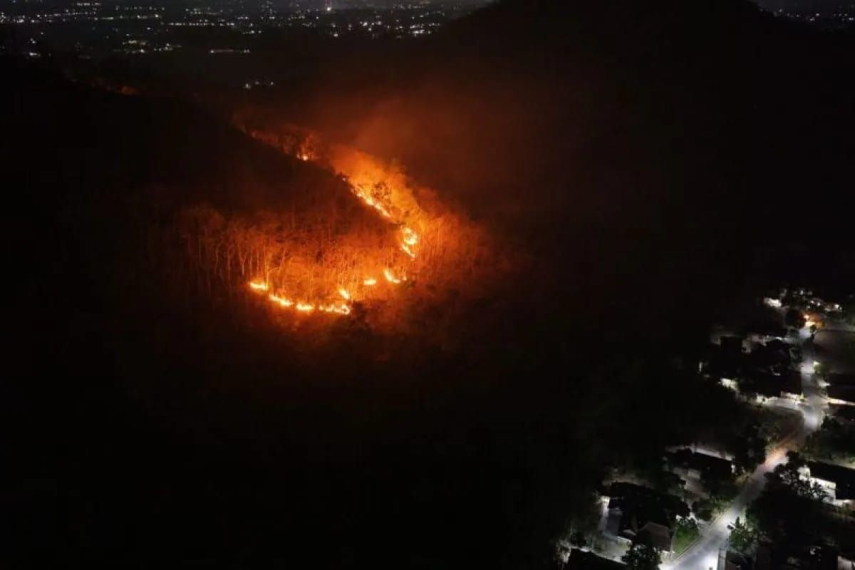 Kondisi kebakaran hutan dan lahan di kawasan Gunung Gombak atau Gunung Nglarangan, Desa Sukosari, Kecamatan Kauman, Ponorogo, Jawa Timur, yang diambil menggunakan drone. Kebakaran tersebut menghanguskan sekitar 15 hektare kawasan hutan dan lahan sebe <b>(Antara)</b>