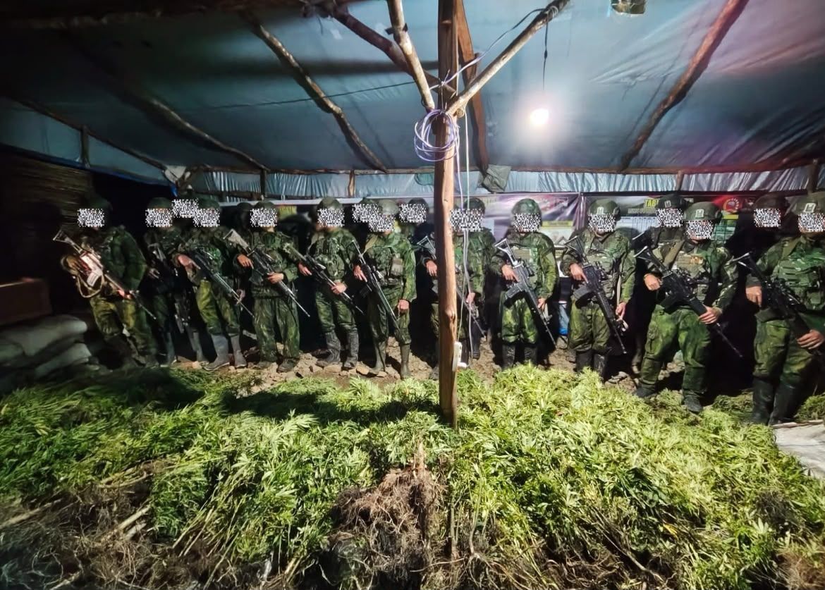 5.000 Batang Ganja Berhasil Diungkap Koops TNI Habema <b>(PUSPEN TNI)</b>