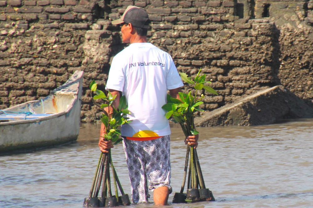 BNI telah menanam 258.000 bibit mangrove selama delapan tahun terakhir di sejumlah kawasan pesisir strategis, yakni Mempawah (Kalimantan Barat), Kebumen (Jawa Tengah), Kepulauan Seribu (DKI Jakarta), Banyuwangi (Jawa Timur), dan Pamekasan (Jawa Timur). (BNI)