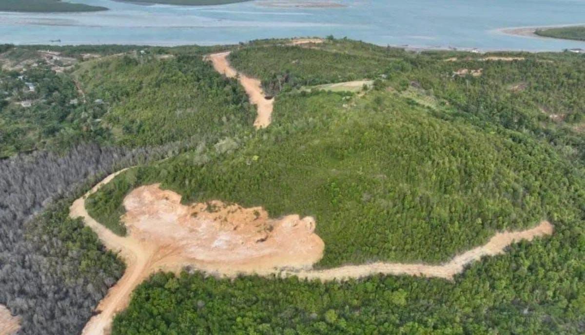 Kawasan Hutan Lindung Tanjung Piayu yang rusak akibat pembukaan lahan dengan alat berat di Kota Batam, Kepulauan Riau <b>(Antara)</b>