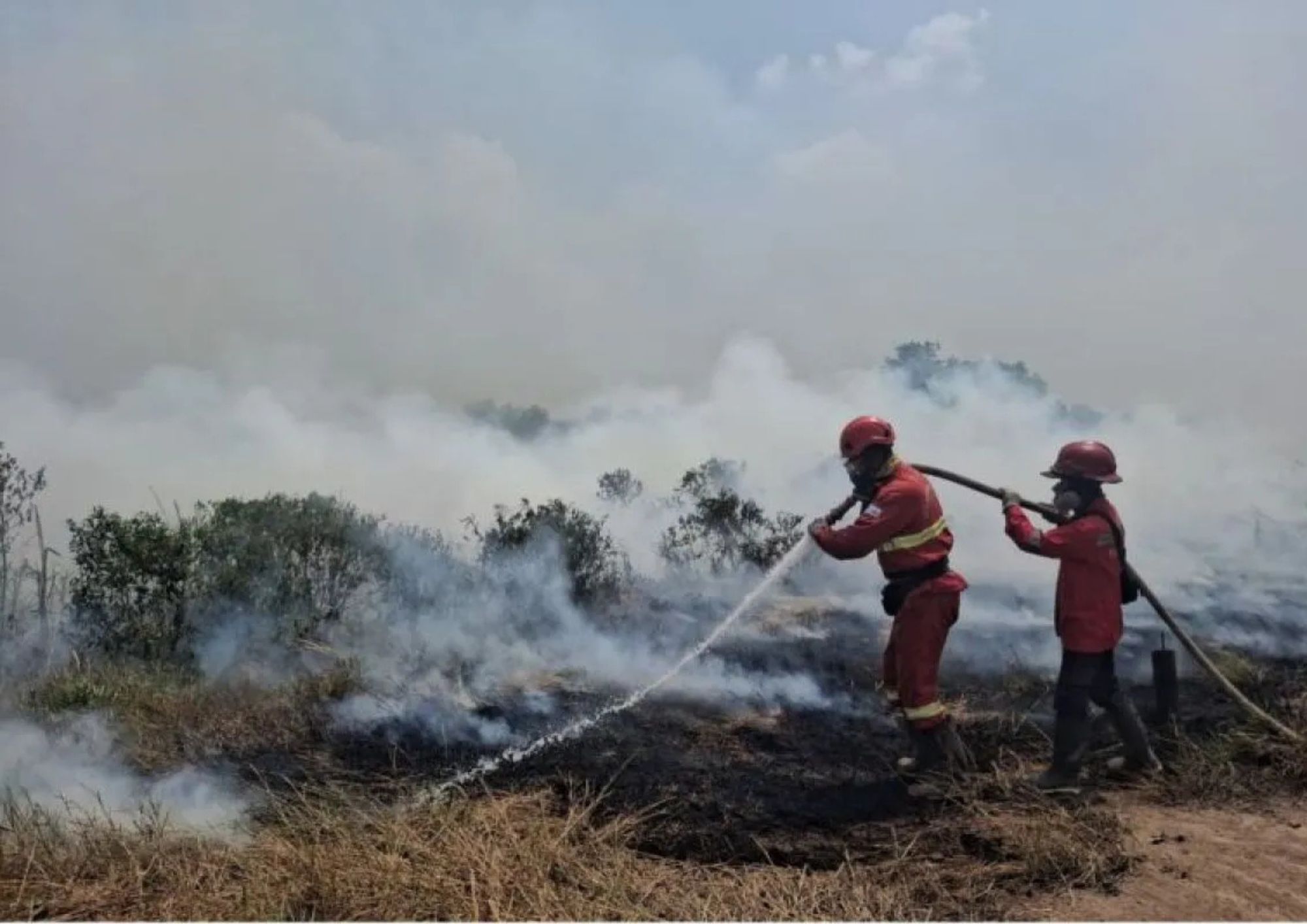 Petugas Manggala Agni Kemenhut melakukan pemadaman karhutla di wilayah Sumatera Selatan, Minggu (22/8/2026)  <b>(Antara)</b>