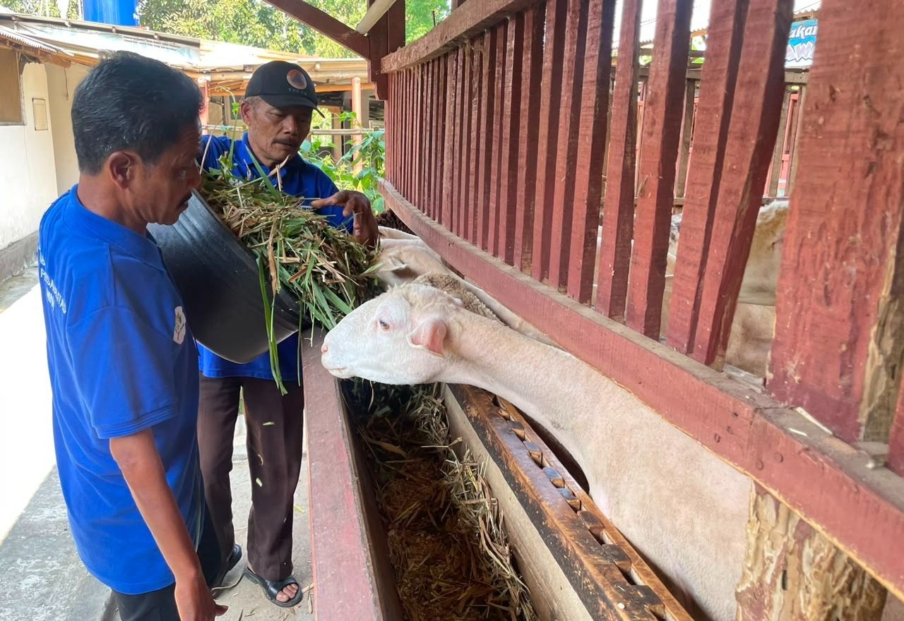 Kelompok Pandawa Patra, berhasil membukakan jalan bagi para penyandang disabilitas untuk bergerak maju. <b>(Pertamina)</b>