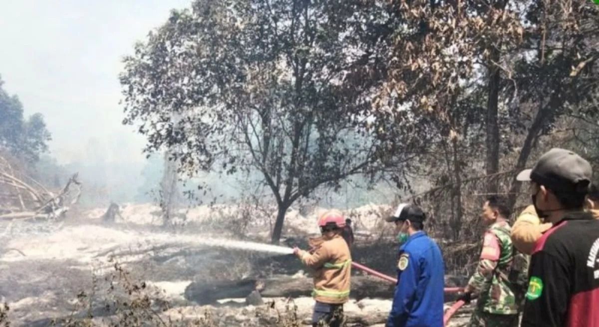 Tim gabungan terus berjibaku memadamkan karhutla di Kaltim agar tak meluas.  <b>(Antara)</b>