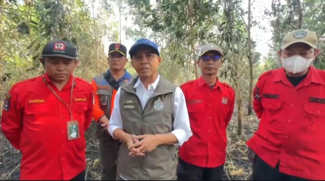 Menhut Raja Juli tinjau kebakaran di hutan Kalimantan <b>(Dok: ntvnews)</b>