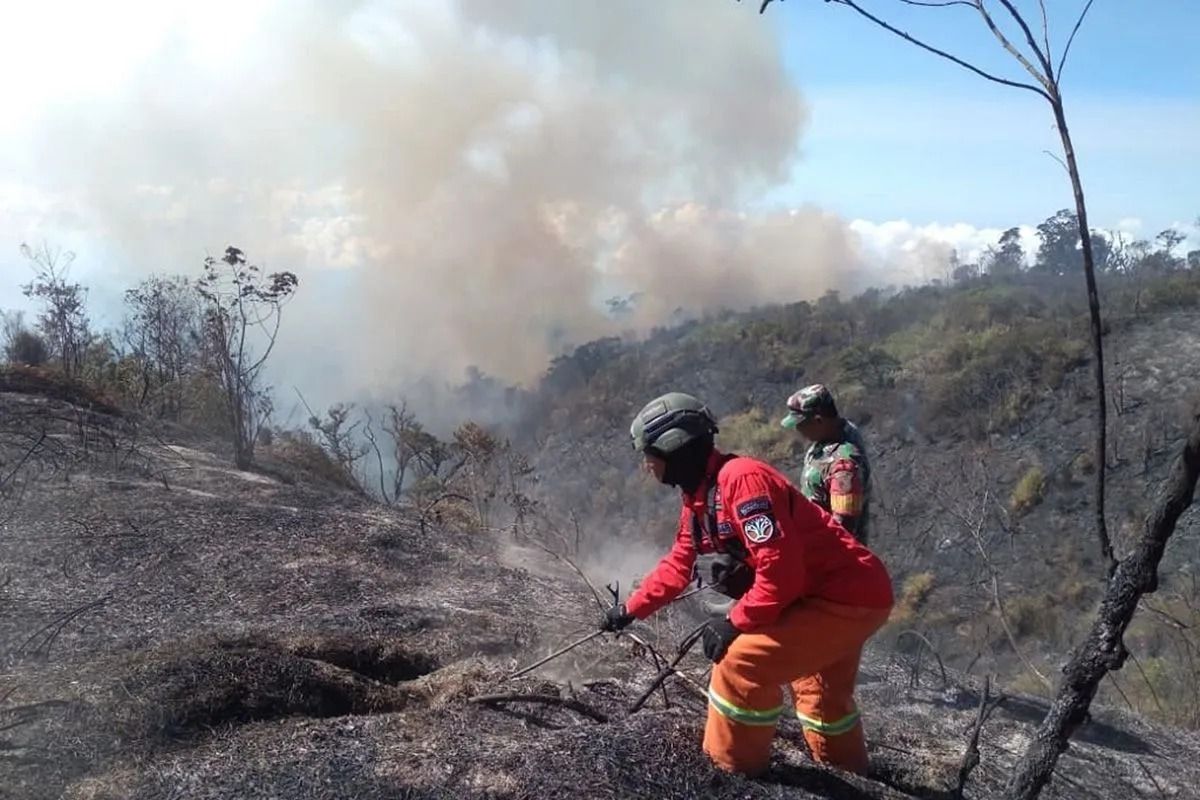 Petugas gabungan membuat sekat bakar untuk mengendalikan titik api sekaligus mencegah pergerakan kebakaran di lereng Gunung Semeru, Minggu, 30 Agustus 2026 <b>(Antara)</b>
