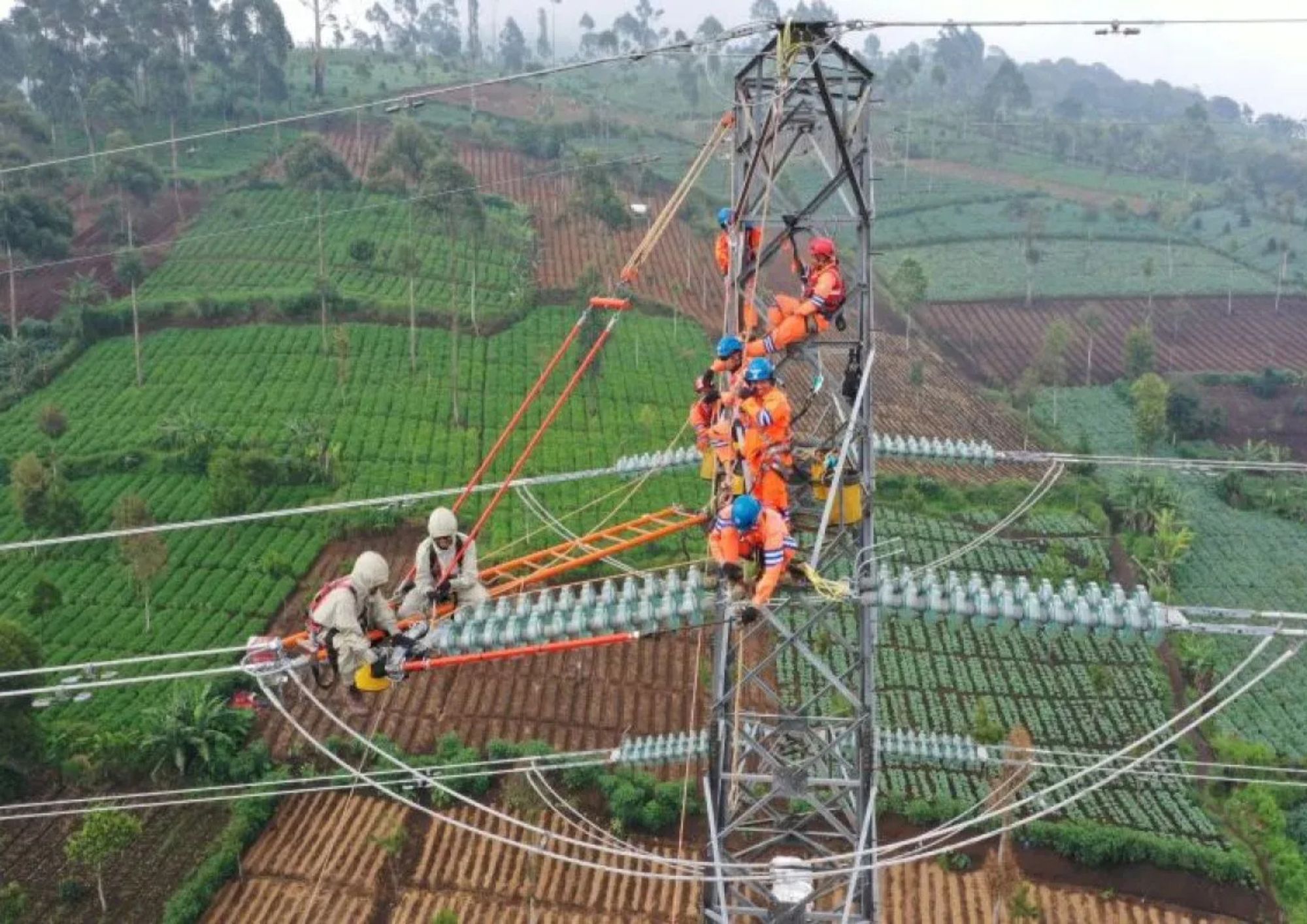 Ilustrasi. Pemeliharaan jaringan transmisi oleh petugas PLN sebagai bagian dari upaya menjaga keandalan dan kestabilan Sistem Sulbagsel. <b>(Antara)</b>