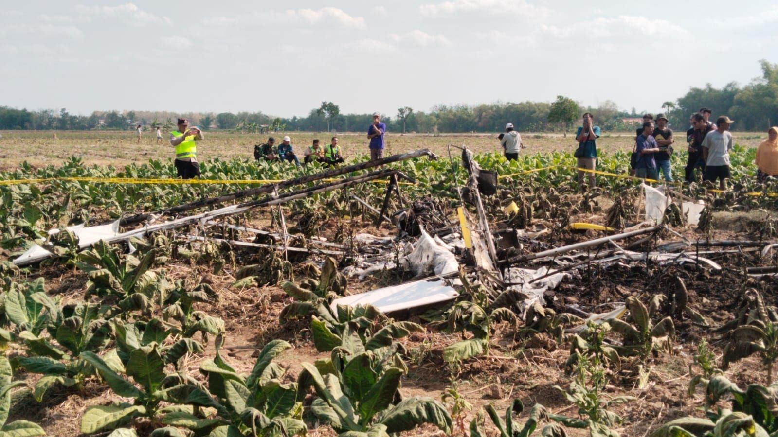 Pesawat Jatuh di Ladang Tembakau Blora <b>(Dok: NTVNews.id)</b>