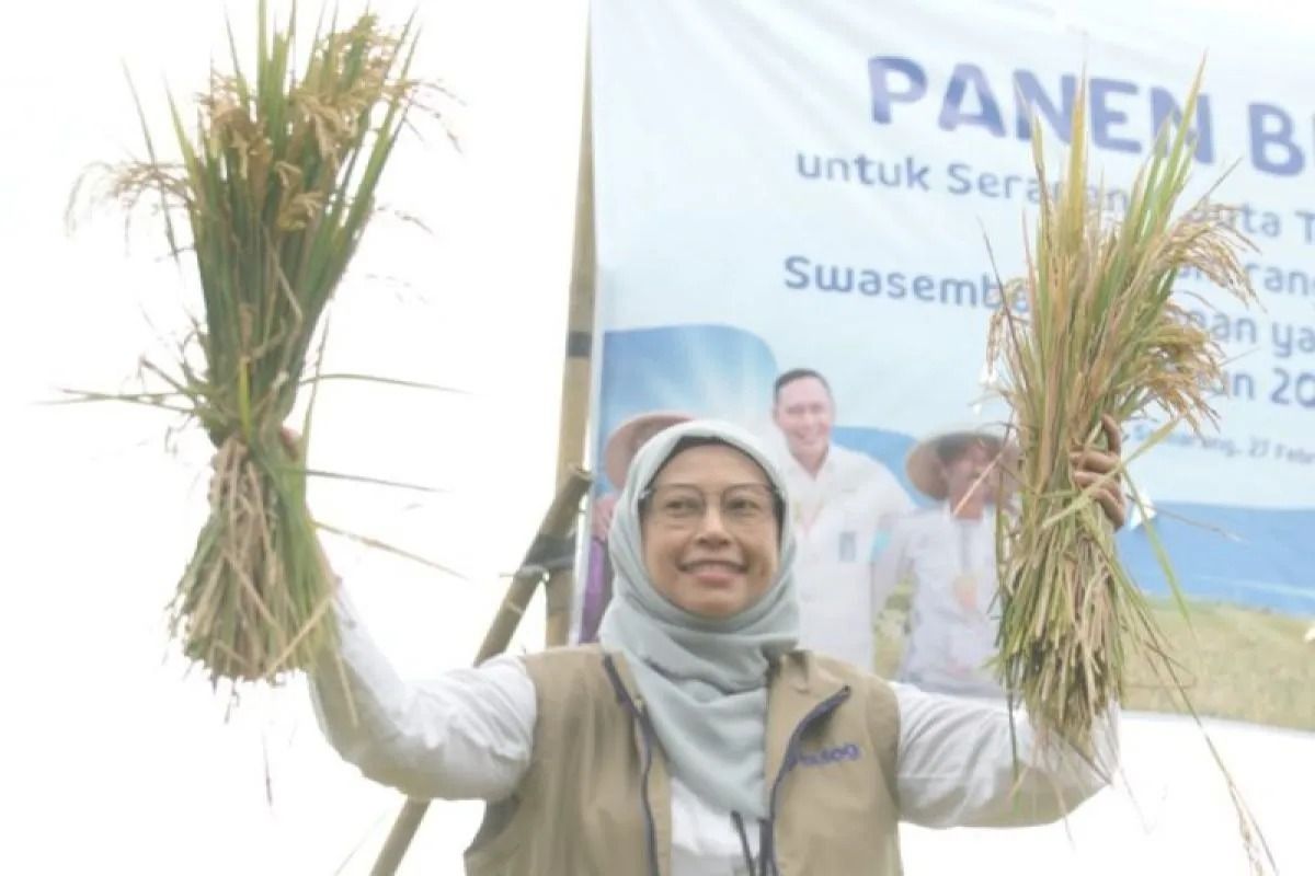 Kepala Perum Bulog Wilayah Jawa Tengah Sri Muniati. <b>(Antara)</b>
