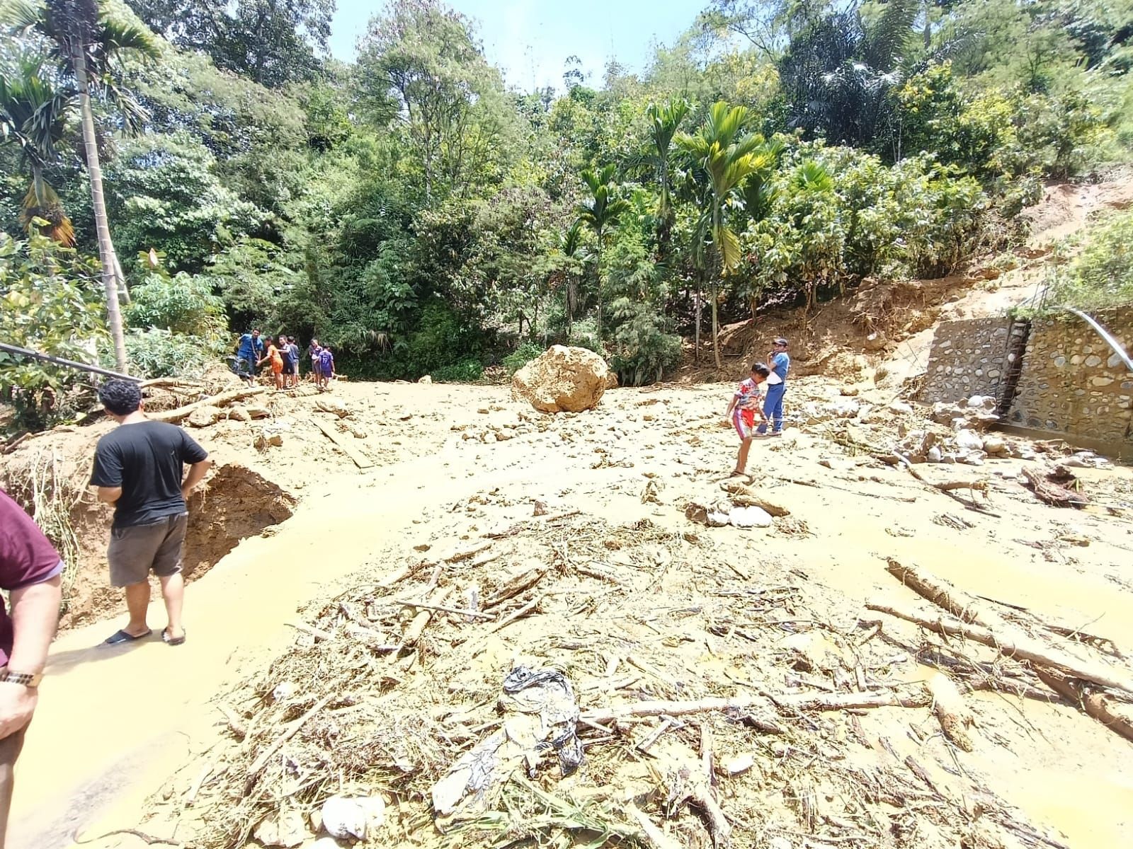 Kondisi awal longsoran yang menutup total badan jalan di salah satu titik pada Ruas Blangkejeren&ndash;Batas Gayo Lues/Aceh Tenggara, Provinsi Aceh. Tumpukan tanah, batang kayu, dan material longsoran dari tebing melumpuhkan akses lalu lintas sepenuhnya di lokasi tersebut.